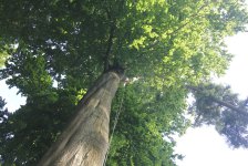 53_gc_stammtisch_18_20150506